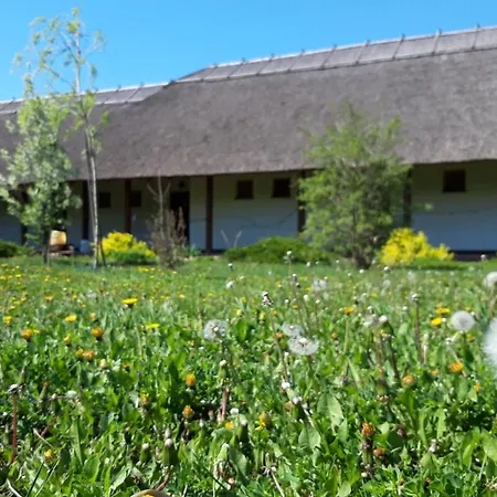 Dorogma Vendeghaz Guest house Tiszadorogma